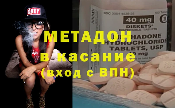 прущие грибы Инта