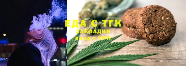 прущие грибы Инта