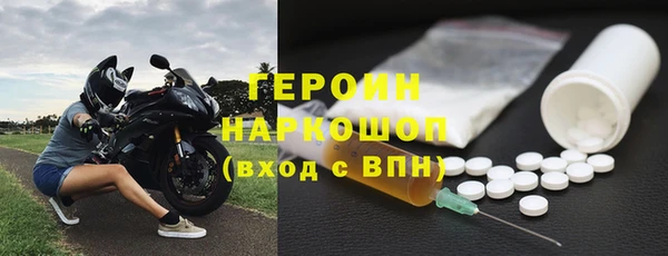 прущие грибы Инта