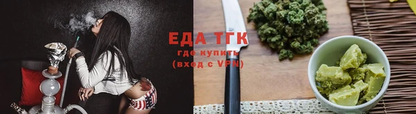 прущие грибы Инта
