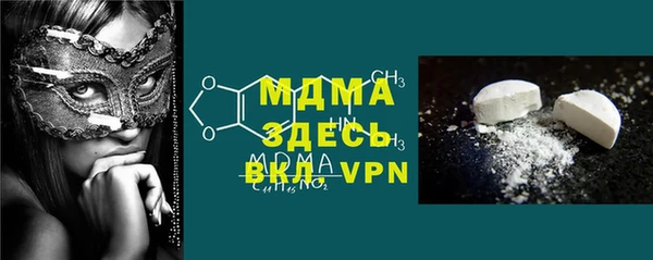 прущие грибы Инта