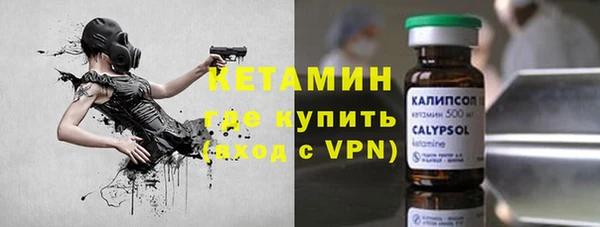 прущие грибы Инта