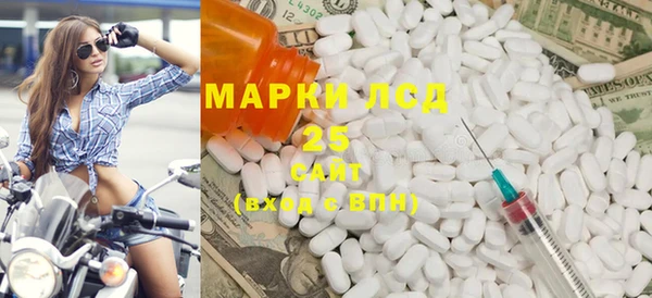прущие грибы Инта