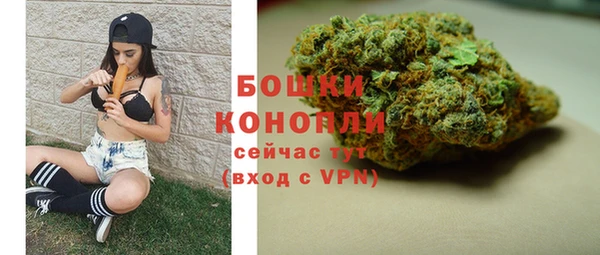 прущие грибы Инта