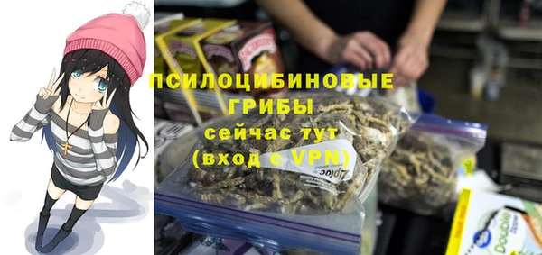 прущие грибы Инта