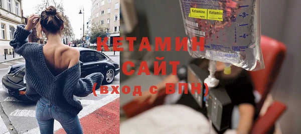 прущие грибы Инта